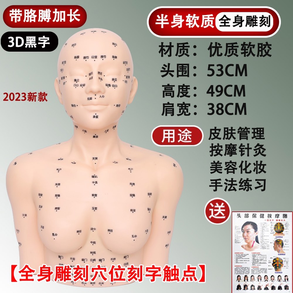 피부관리 실습 모형 얼굴 모델 관리 마사지 속눈썹 연습 마네킹 프로모션 피부관리(혈자리없음) : 터빈코어
