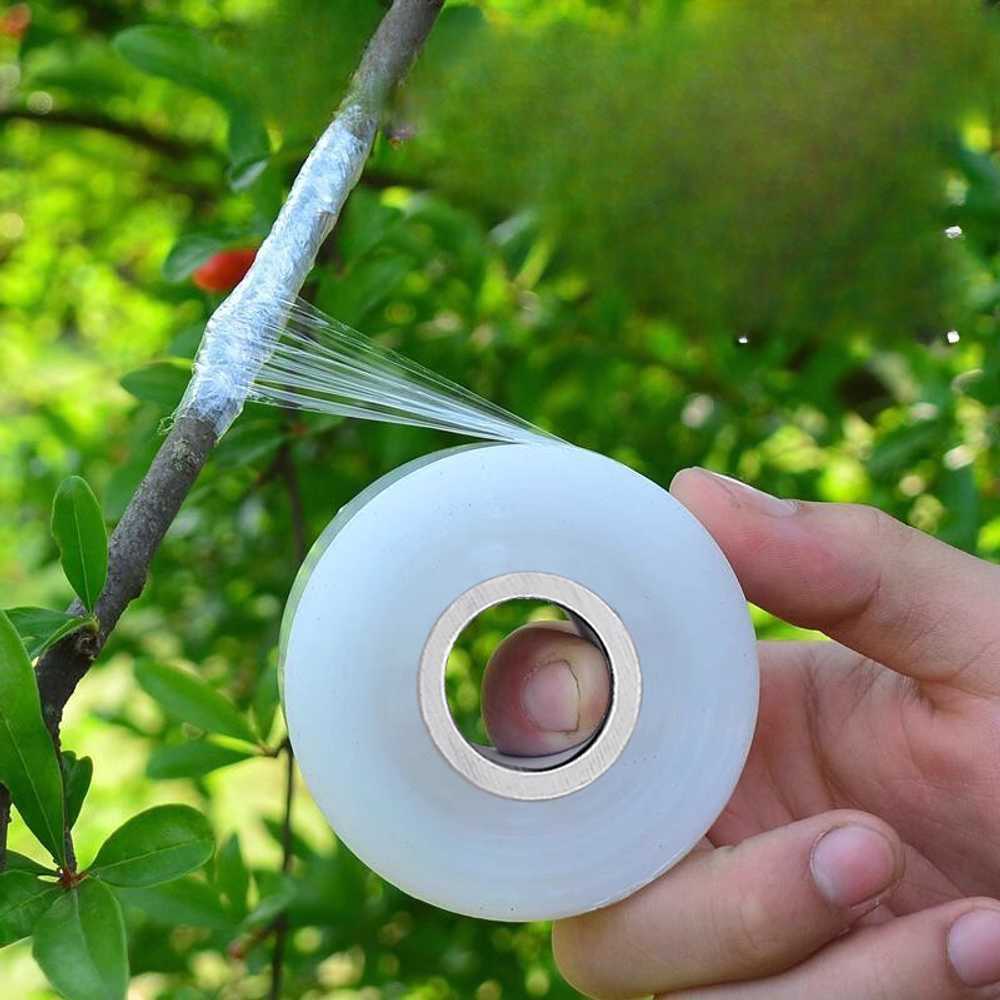 접목테이프 나무 수목관리 접목 고정 나뭇가지 식물 필름 길이 200m 폭 3cm(5롤) : 도하상사2