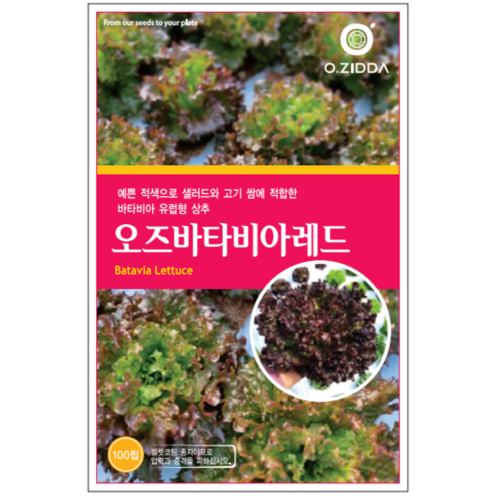 유럽 상추 모둠 종자 씨앗 쌈채소 샐러드 수경재배 [오디가 ODIGA ] (100립) : 오디가 ODIGA