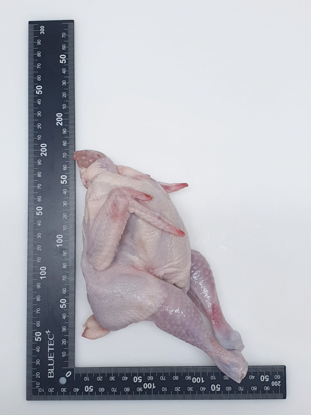 닭장사 국내산 냉동 삼계닭 30호 30마리 벌크포장 백숙용 삼계탕용 : 닭장사