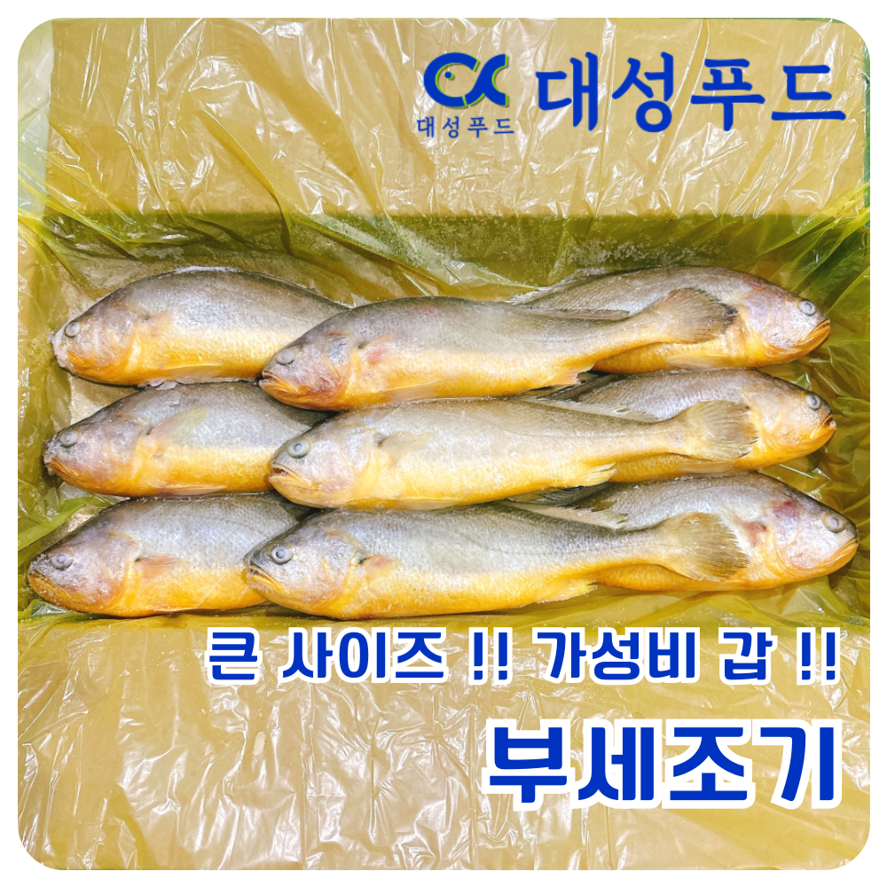 부세조기 3미 1KG 특사이즈 생선구이 : 대성푸드