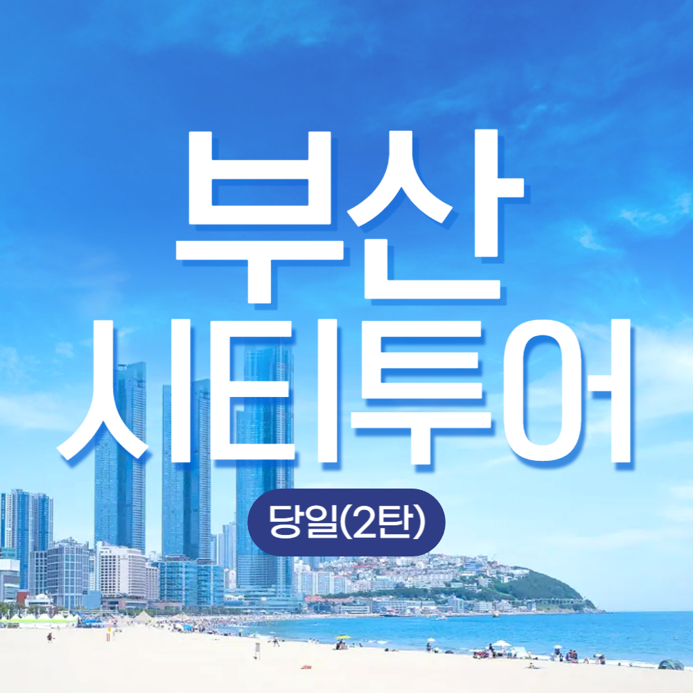 KTX 부산 시티투어 당일치기 기차여행 용궁사 해운대 해변열차 오시리아 중식 포함 패키지 : 청송관광여행사