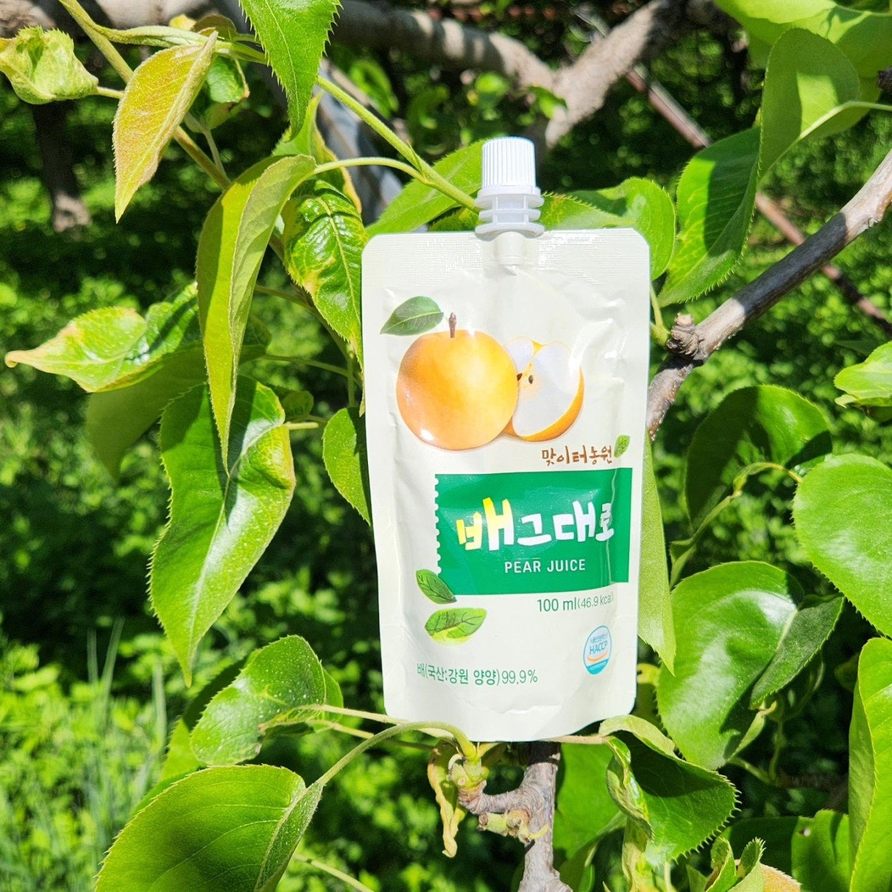 맞이터농원 배그대로 100ml : 맞이터농원