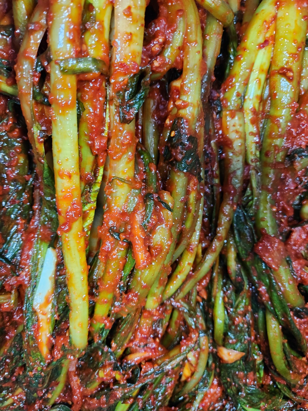 여수 명물 갓김치 산지직송 당일생산 1.5kg : 산들베베