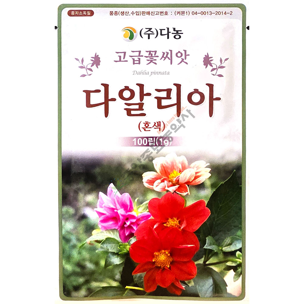 다알리아 혼색 100립 다농꽃씨앗 25년 : 중앙종묘농약사