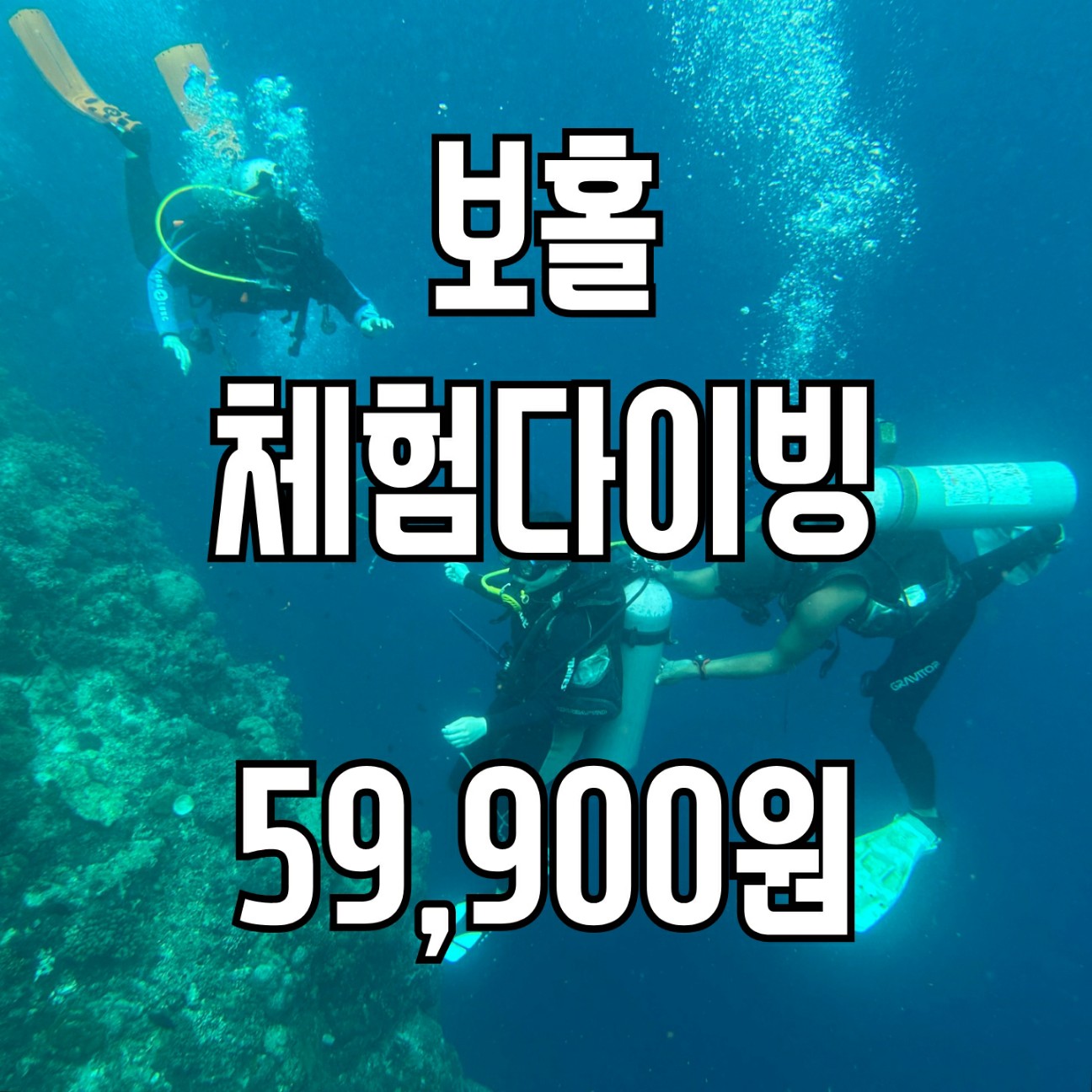 보홀 체험다이빙 나팔링스킨스쿠버 한국인강사진행 / 무료픽드랍 : 투어레코드