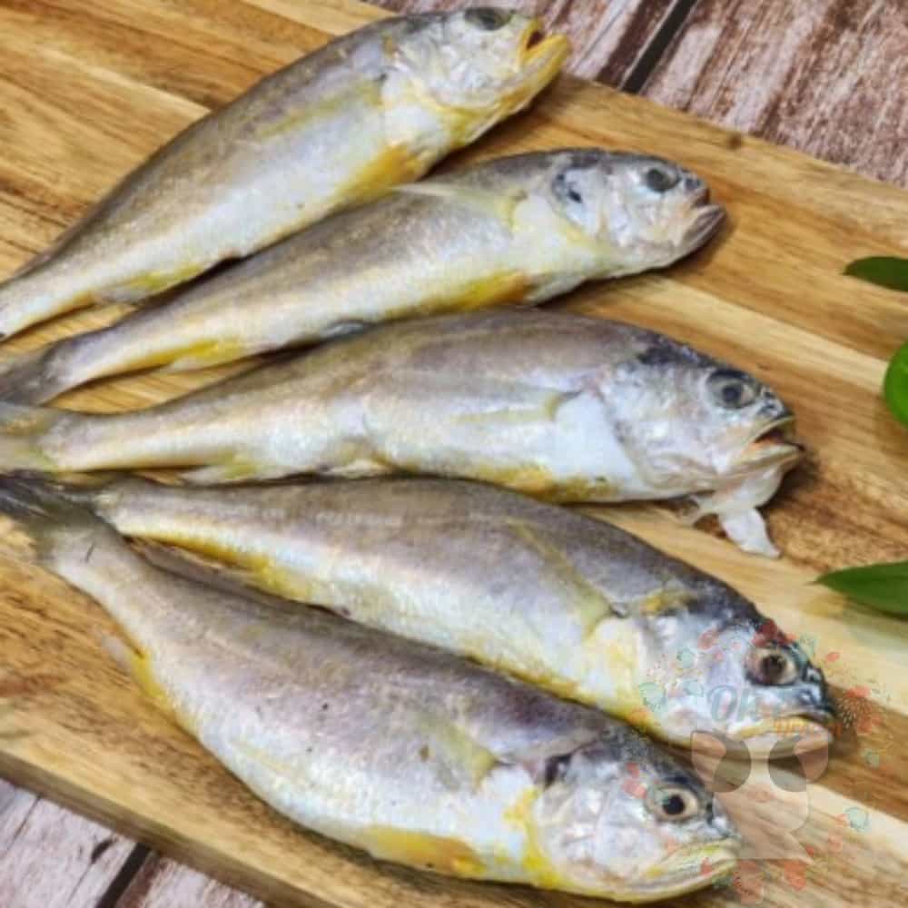 옥이드림 굴비 1kg 생선굴비 참조기 : 옥이만물