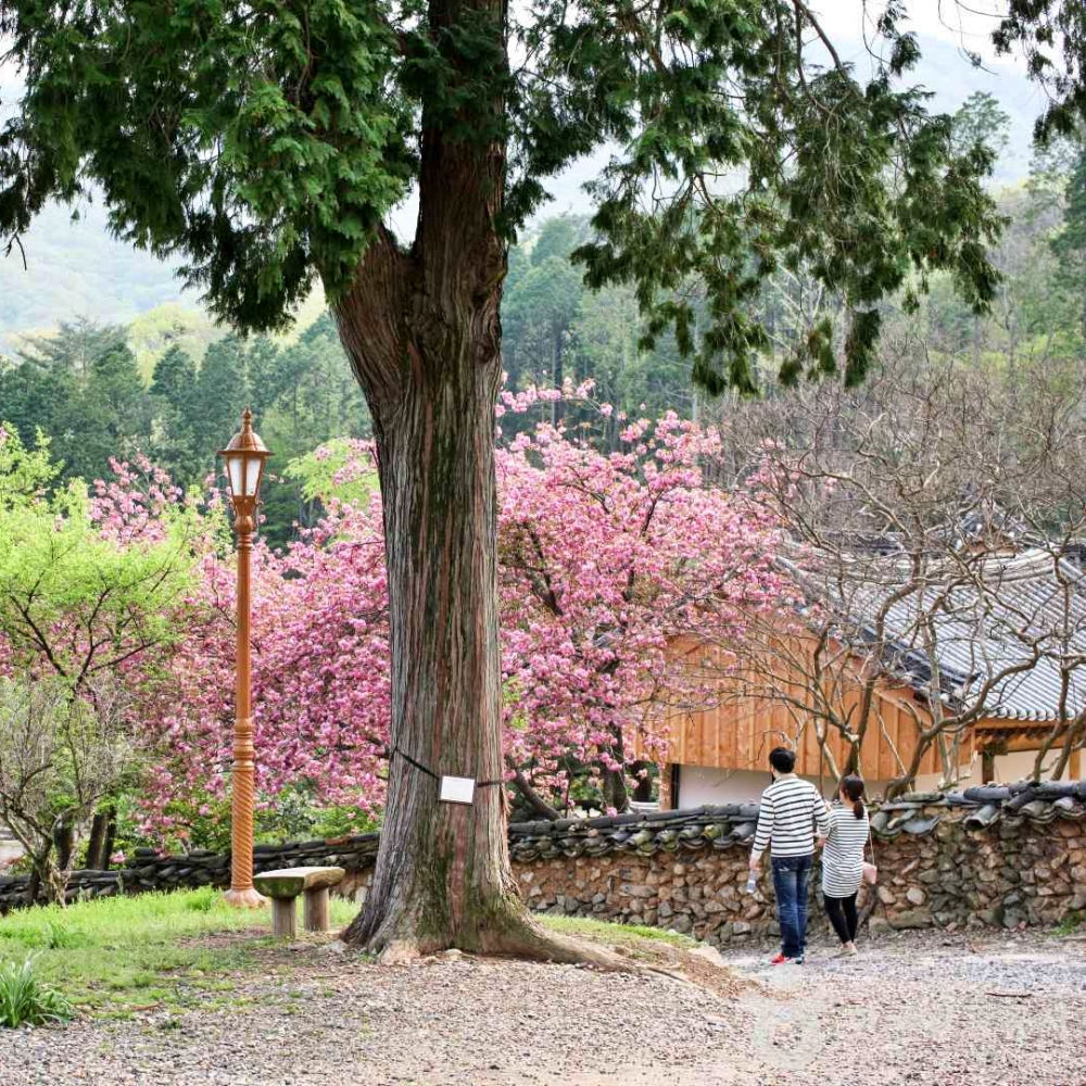 [명품] 남도일주 남해안 사천 여수 완전일주 1박2일 KTX기차여행 : 써니여행사