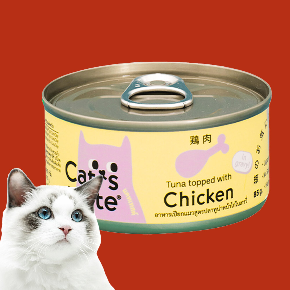 캣츠테이스트 캔 고양이 습식 치킨 그레이비, 85g, 1개 : 뚜뚜펫