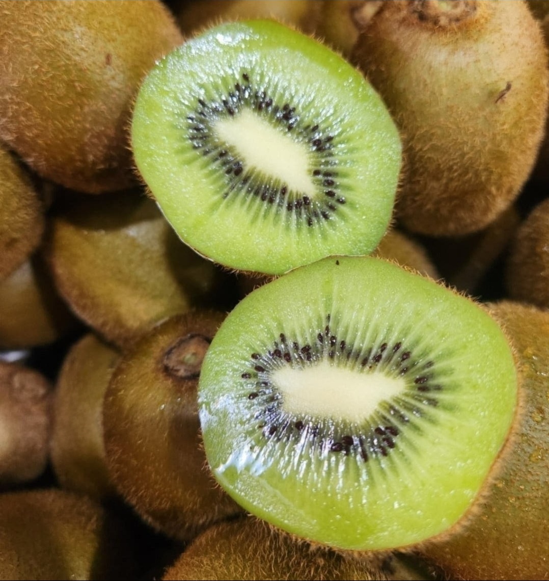 뉴질랜드 제스프리 그린키위 1.5kg 내외 : 과일소담촌하남점