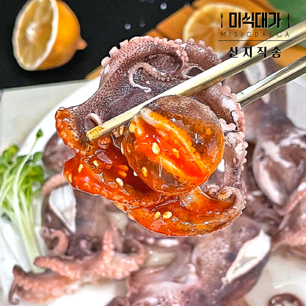 제철 쭈꾸미 냉동 생물 알배기 알쭈꾸미 : 미식대가