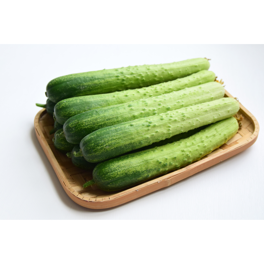 못난이오이 백오이 백다다기 : 제이네식탁