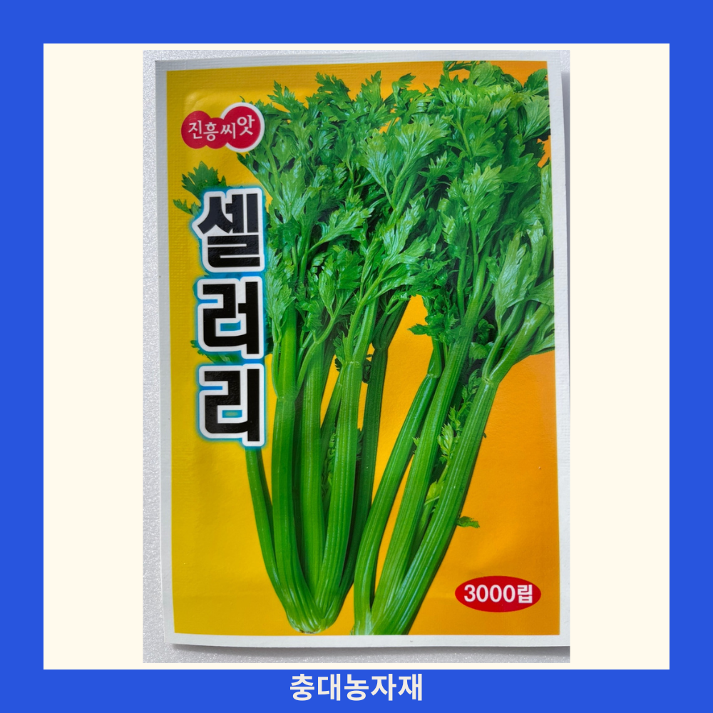 셀러리 씨앗 3000립 25년포장 진흥셀러리 텃밭식물 : 충대농자재