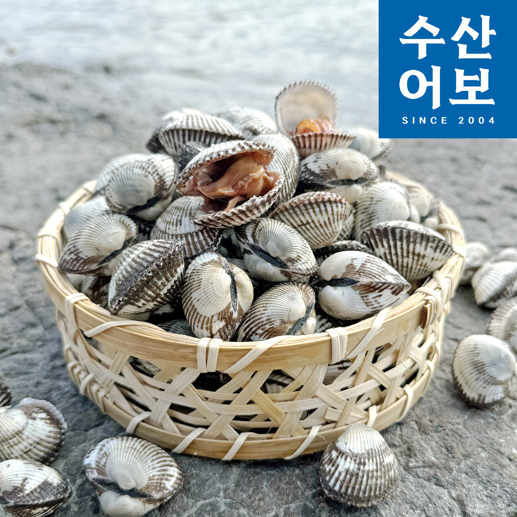 믿고먹는 산지직송 벌교 자연산 제철 새꼬막 : 수산어보