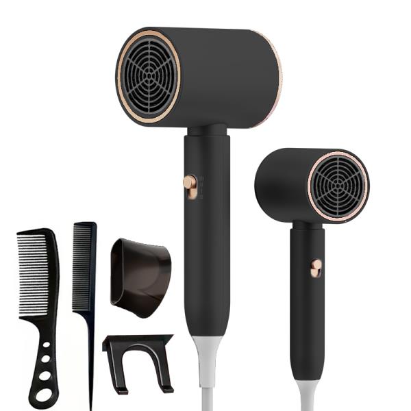 빗걸이가 있는 1800W 헤어 드라이어 집 살롱 여행용 휴대용 장치가 전문 블로우 건조기 : 구대1등 장사장8