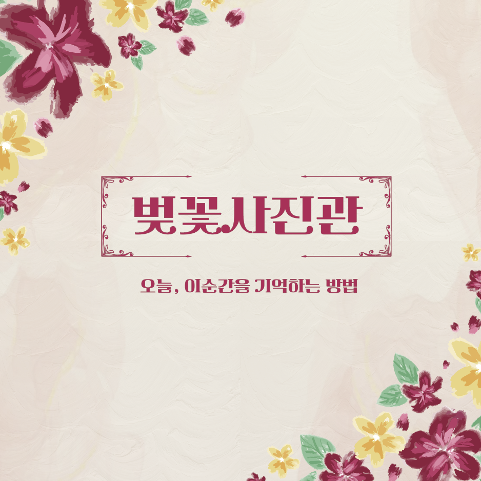 벚꽃사진관 프로모션 결제창 : 홀스픽쳐