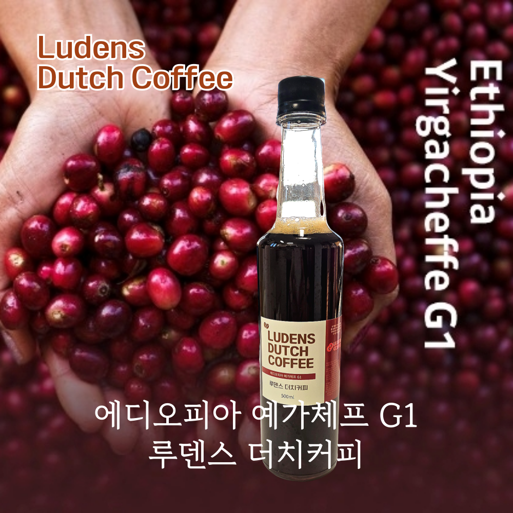 루덴스 에디오피아 예가체프 G1 더치커피 : 맑은차한잔