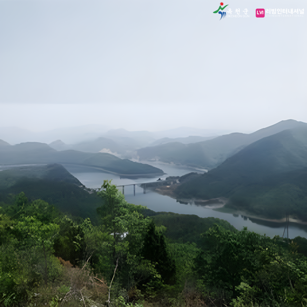 옥천 금강비경 시티투어 : 리빙인터내셔널