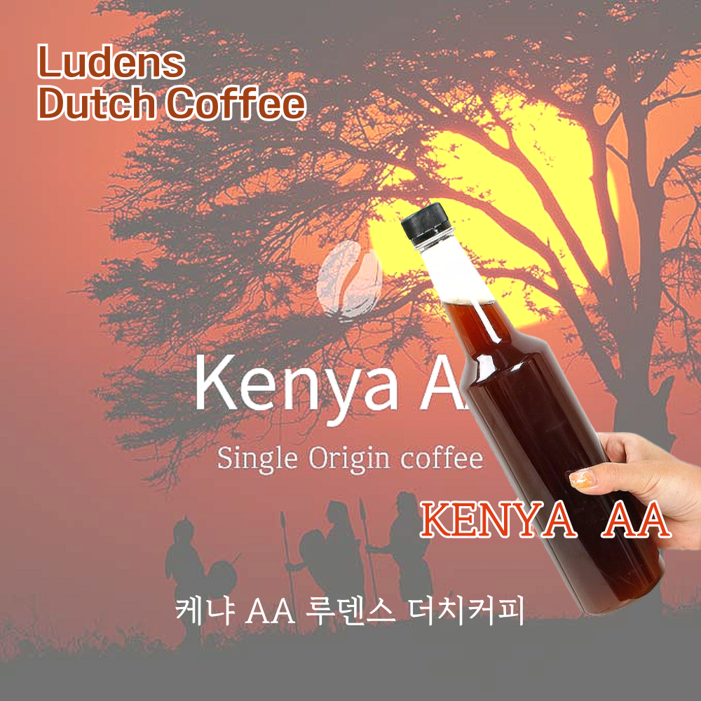 루덴스 케냐 AA 더치커피 : 맑은차한잔
