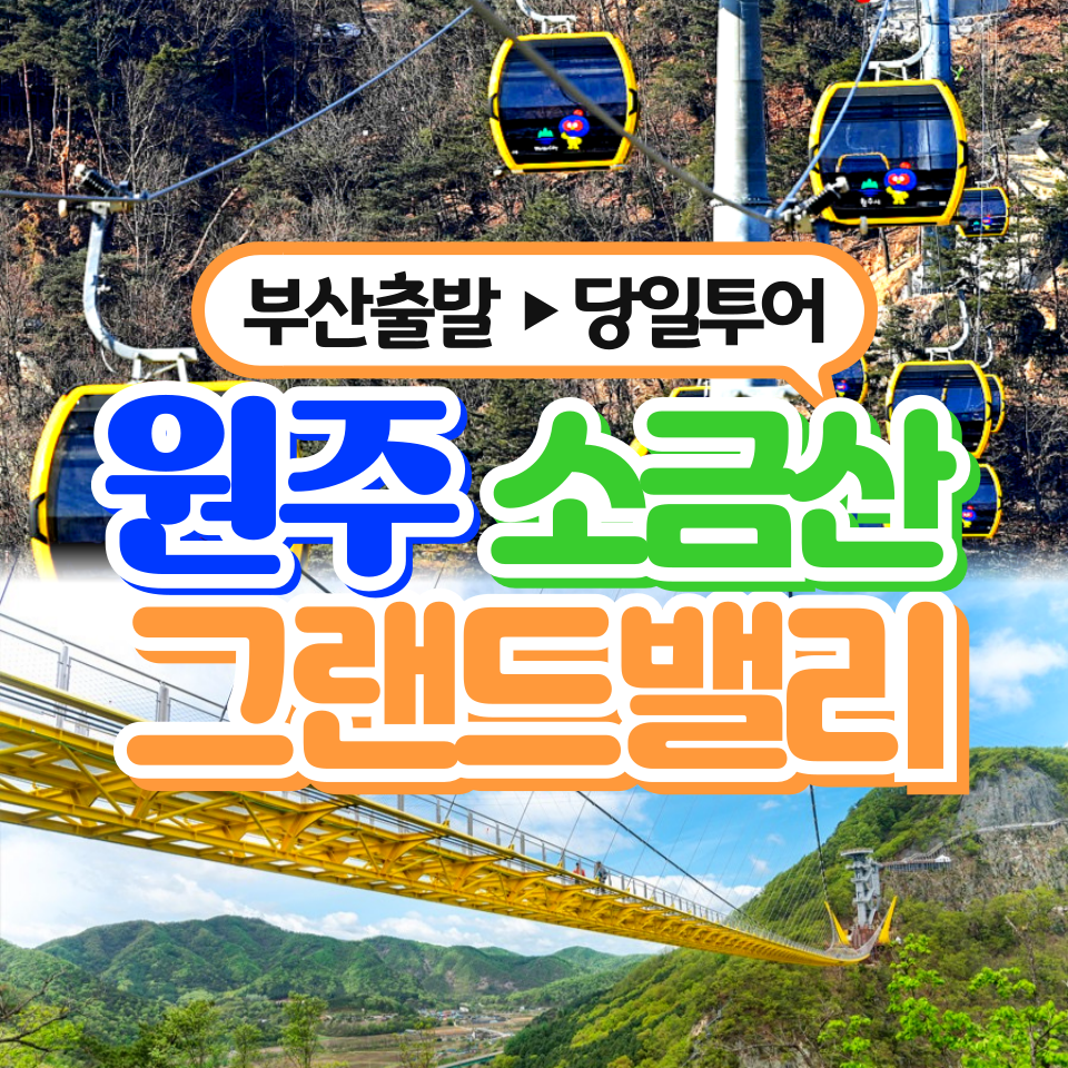 부산출발 원주 소금산그랜드밸리 케이블카 당일 버스여행 동해여행사 : 동해여행사