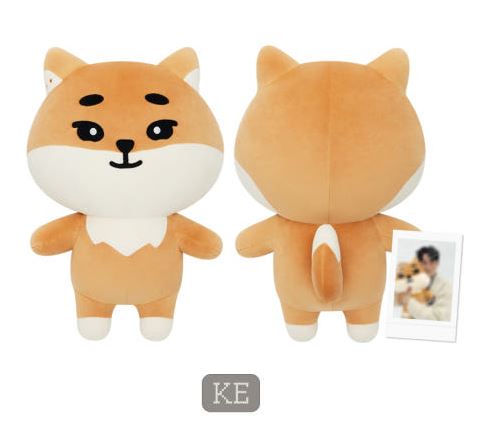 데이식스 DAY6 DENIMALZ PLUSH GIANT Ver 2024 The Present 데니멀즈 인형 자이언트 폴라로이드 KE 케 Young K 영케이 : 디어팬뮤직