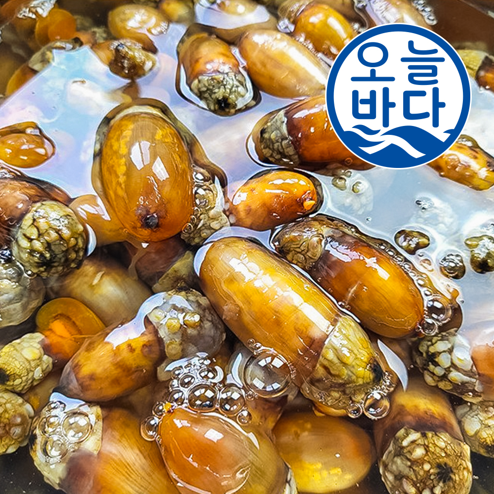 마산 진동 제철 1kg  활 미더덕 손질 생물 횟감용 : 오늘  바다