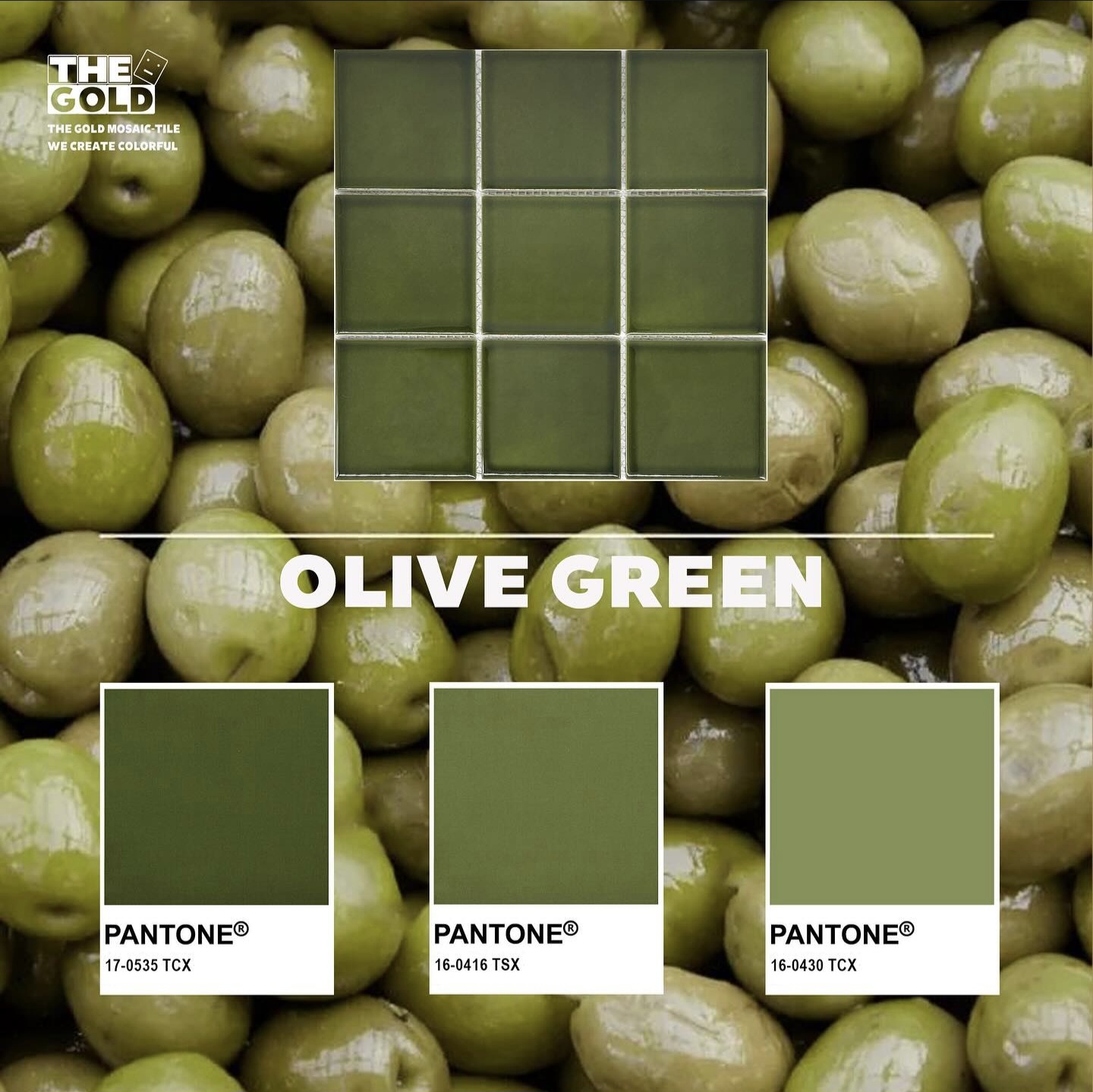 더골드 모자이크타일 G98-OLIVE GREEN 올리브 유광 자기질타일 욕실 주방 : 오로바스브로
