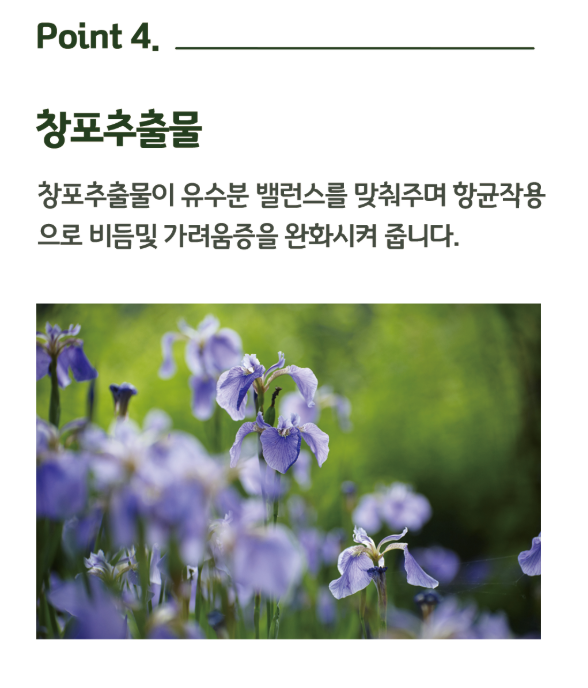 뉴랜드올네이처(알로에), 뉴랜드더마 에센스 트리트먼트 : 뉴랜드올네이처 서산중앙지사