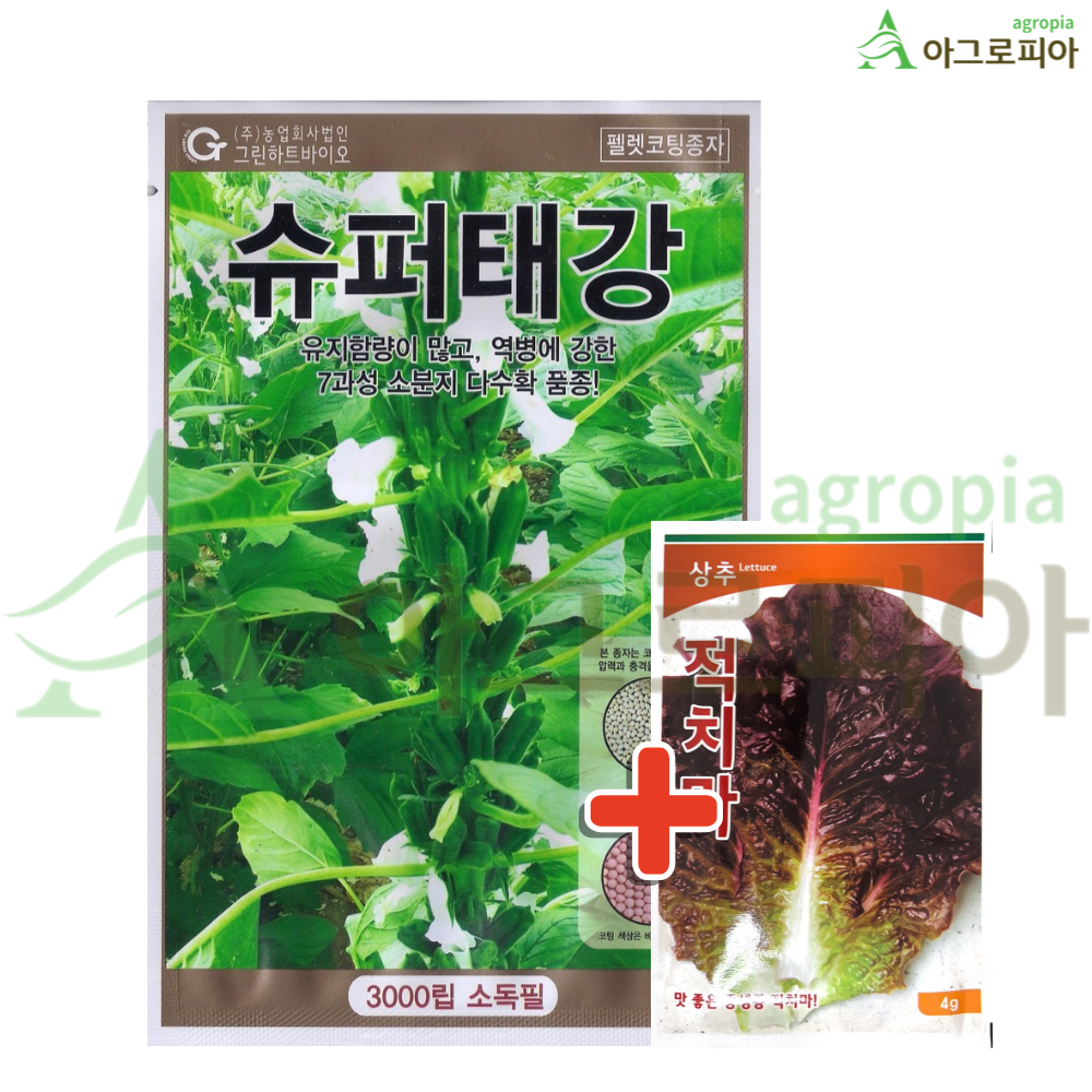 슈퍼 태강 참깨 씨앗 씨 종자 : 아그로피아
