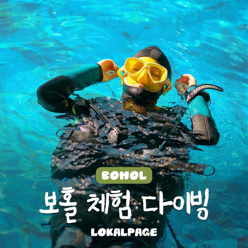 로컬페이지 [보홀 체험다이빙] 한국인강사 다이빙 레슨 초보자 추천 스킨스쿠버 장비포함 : 로컬페이지