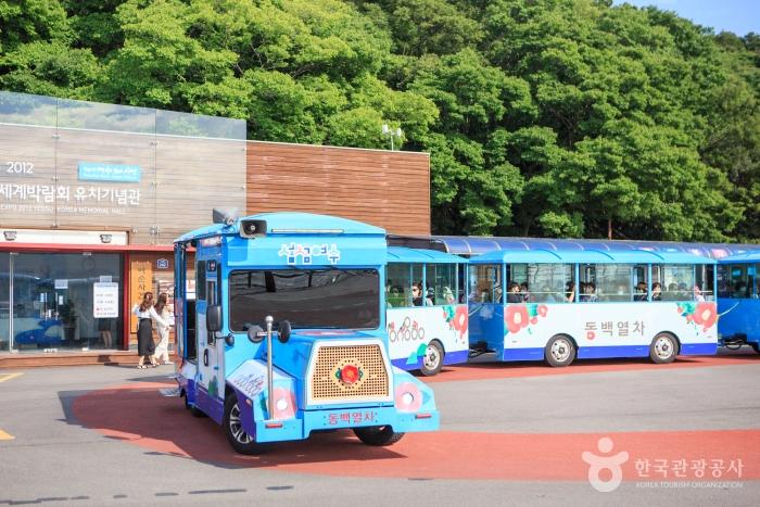 [부산출발] 여수 오동도 크루즈해상관광 당일투어 스마일여행사 : 스마일여행사