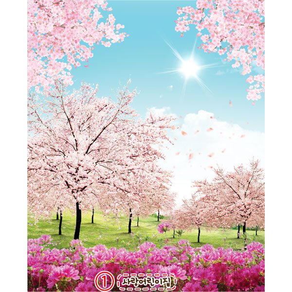D5747 봄꽃 배경 현수막 / 유치원 봄 벚꽃 어린이집 진달래 꽃 1회 수정 가로형 소 : 파티붕붕