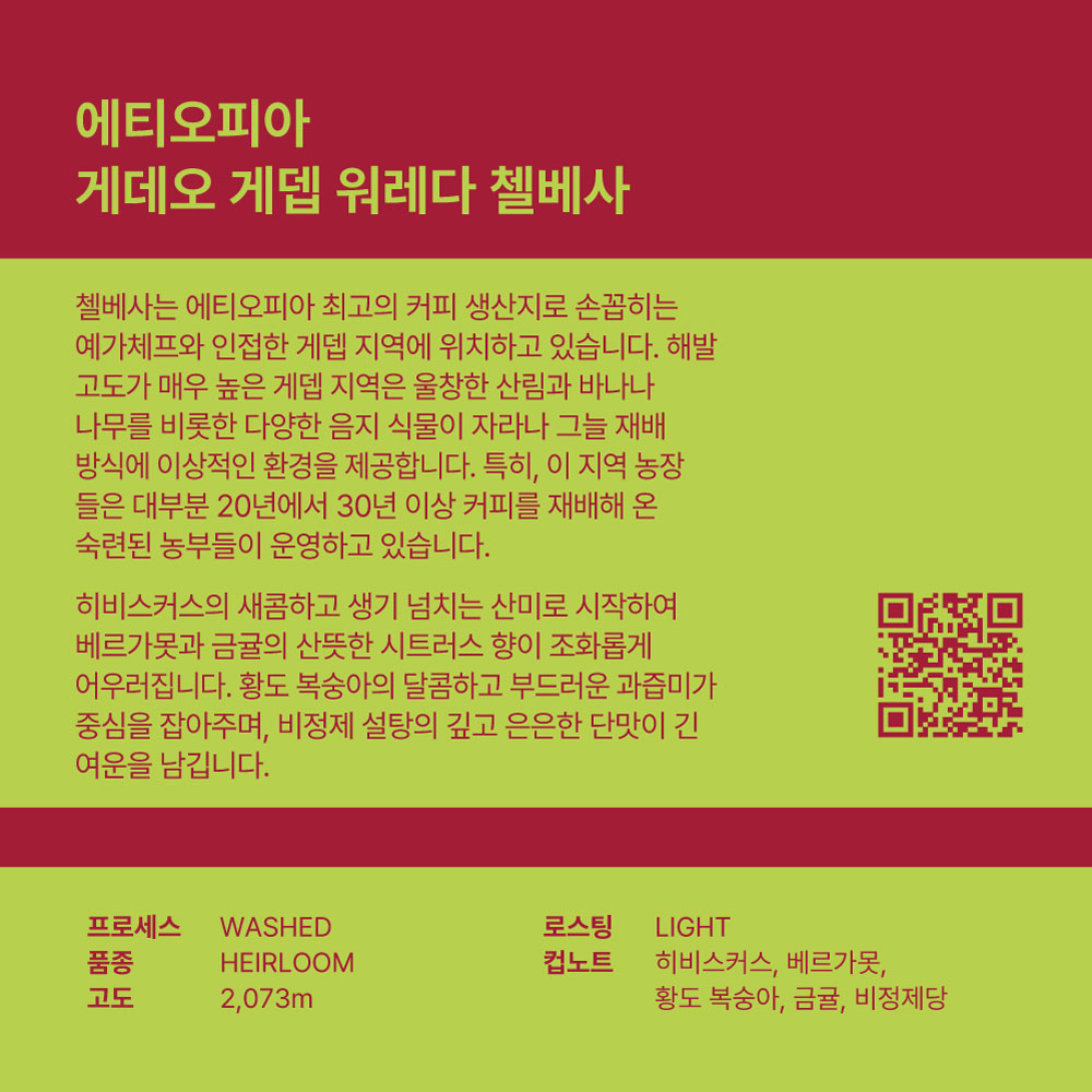 에티오피아 첼베사 워시드 500g : 리얼빈