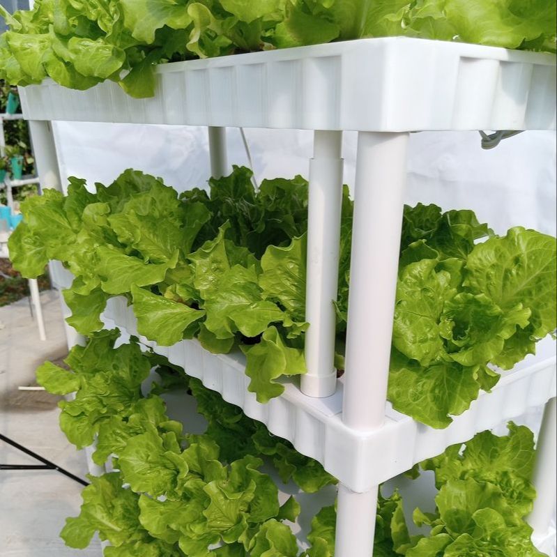 수경재배기 식물재배기 가정용 LED 5단 실내 재배 키우기 스마트팜 야채 상추 텃밭 스탠드 : 두둥실몰