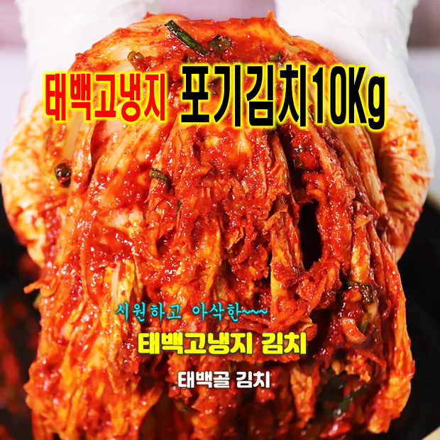 국내산 고냉지배추 태백골 포기김치10Kg : 식자재유통 짱하오