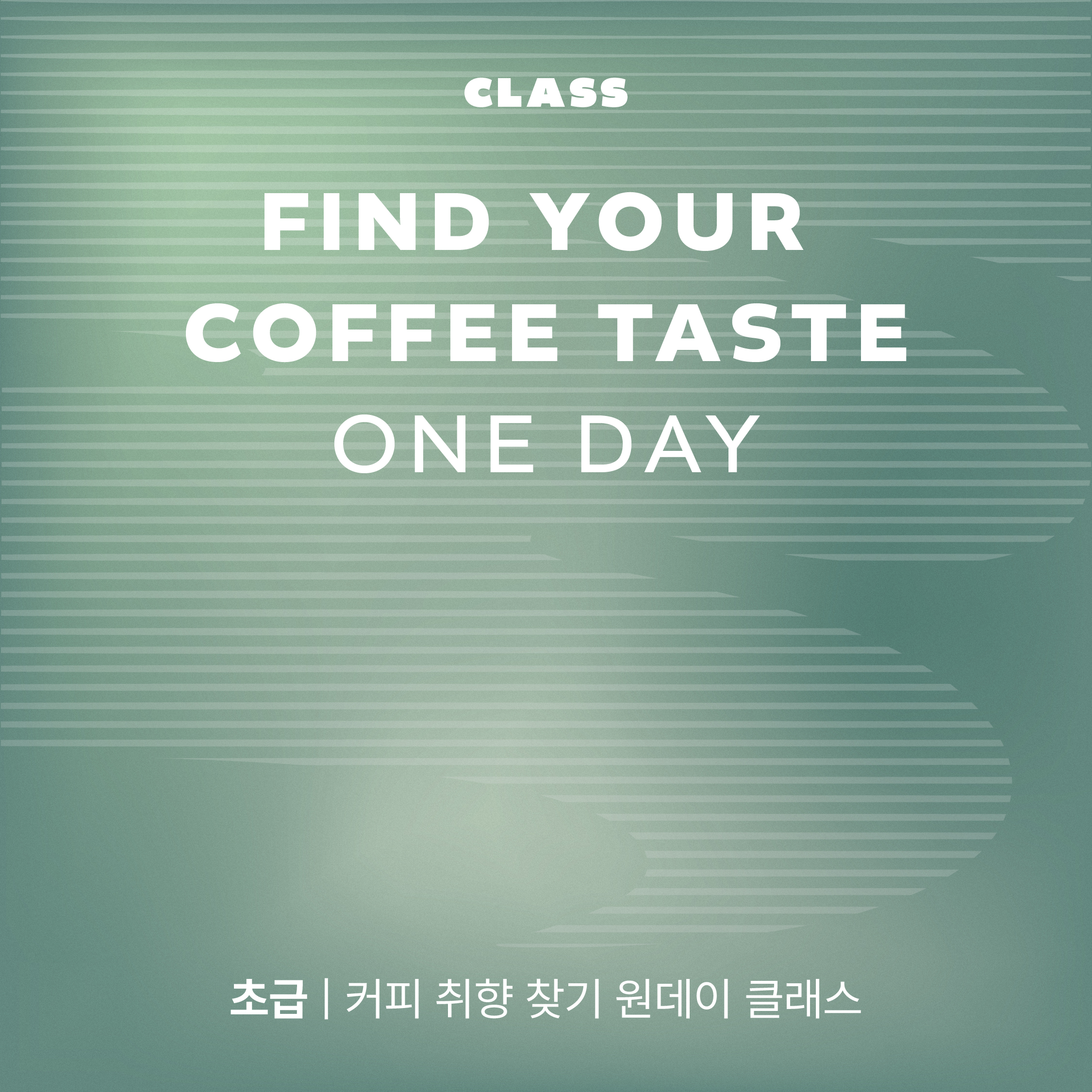 엠프티랩 퍼스널 커피 진단 원데이 클래스 : 엠프티랩