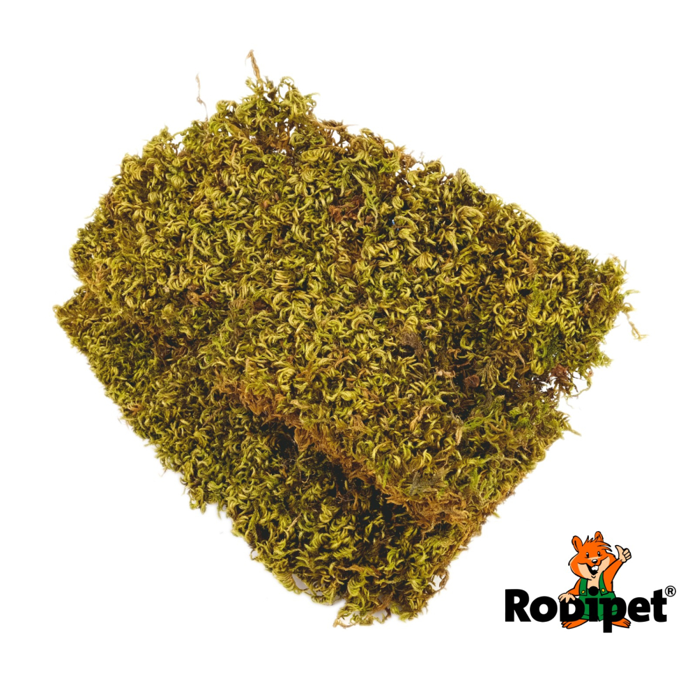 로디펫 Rodipet 플레이트 모스 2개 각 10x18cm 꾸미기용 작고 소중한 햄찌 장식용 : onesoul