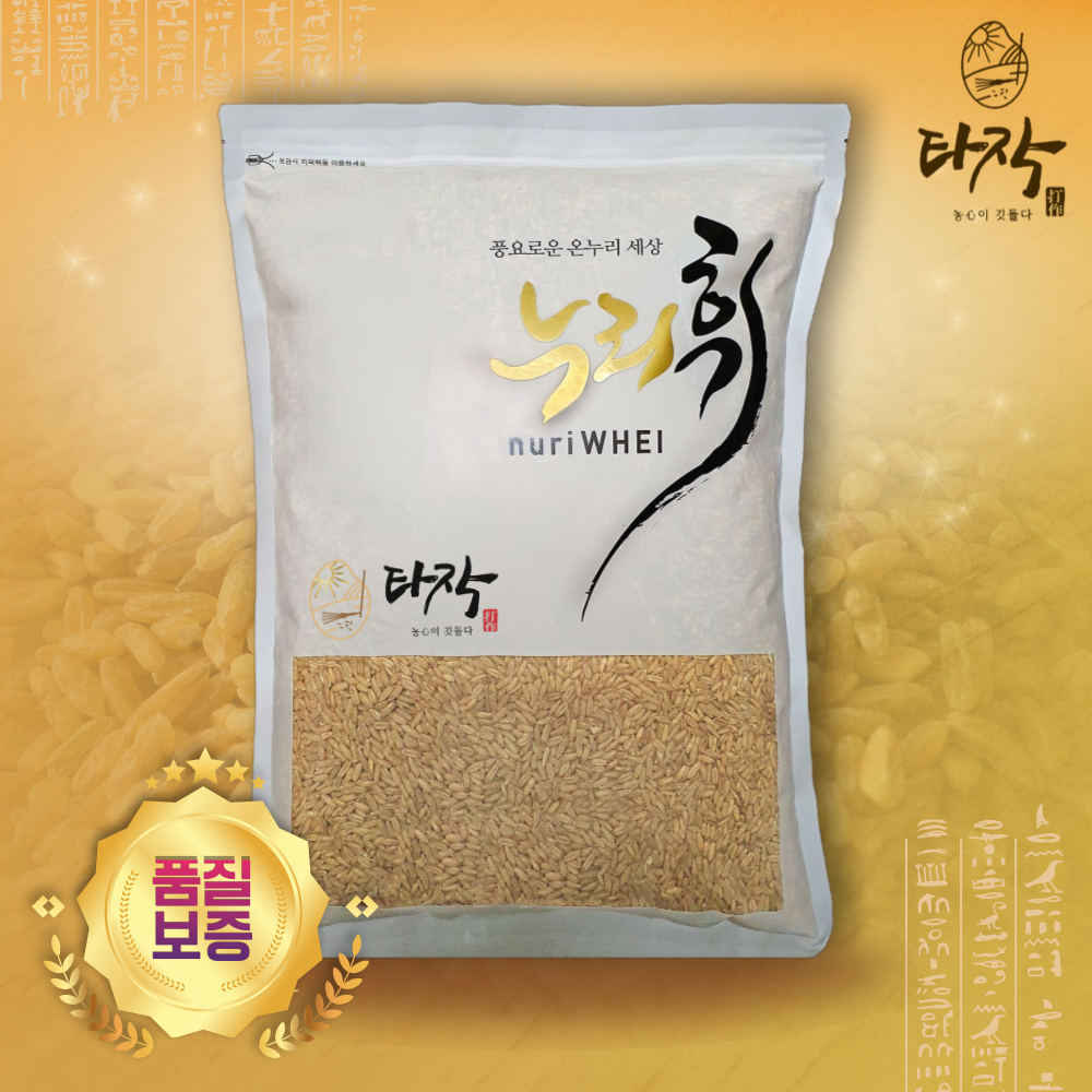 [품질보장] 황금 고대 원시곡물 카무트 쌀 호라산밀 3kg : 타작농산