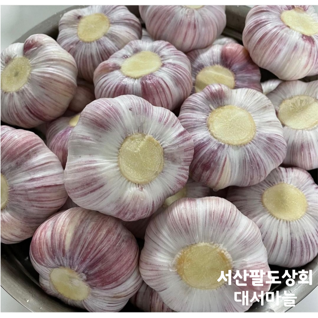 25년 서산 햇마늘 장아찌용 육쪽마늘 대서마늘 통마늘 밭마늘 : 서산팔도상회