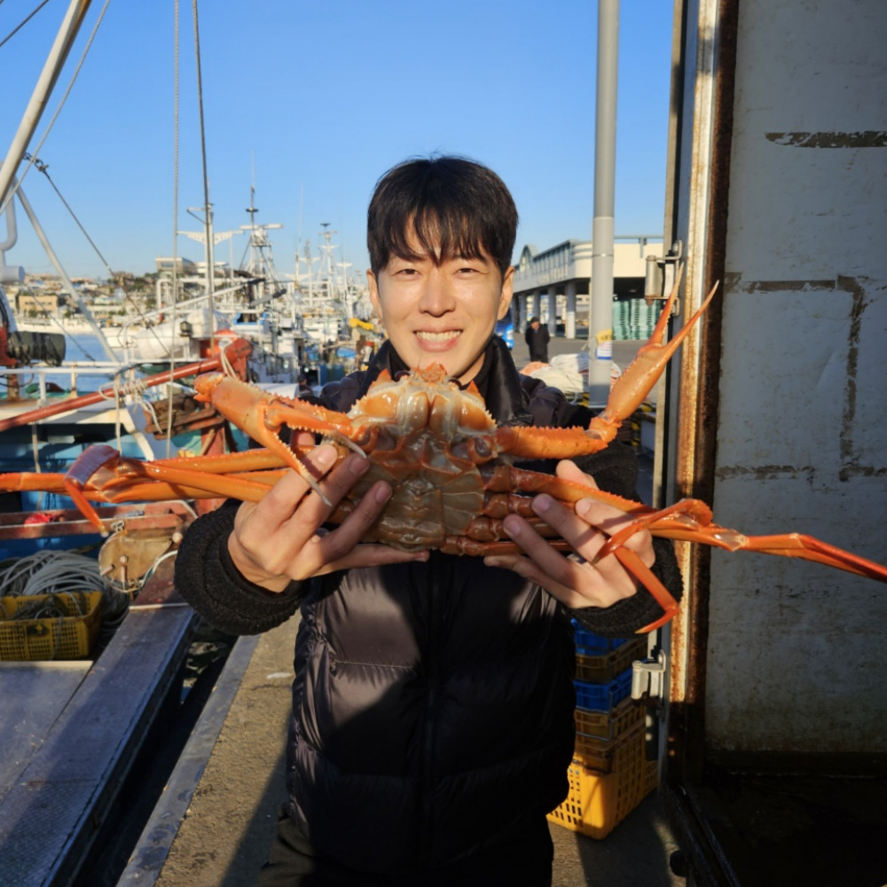 산지직송 포항 영덕 대게 울진 구룡포 게 박달 활대게 생물 대개 홍게 제철 : 대게 홍게 강두기수산