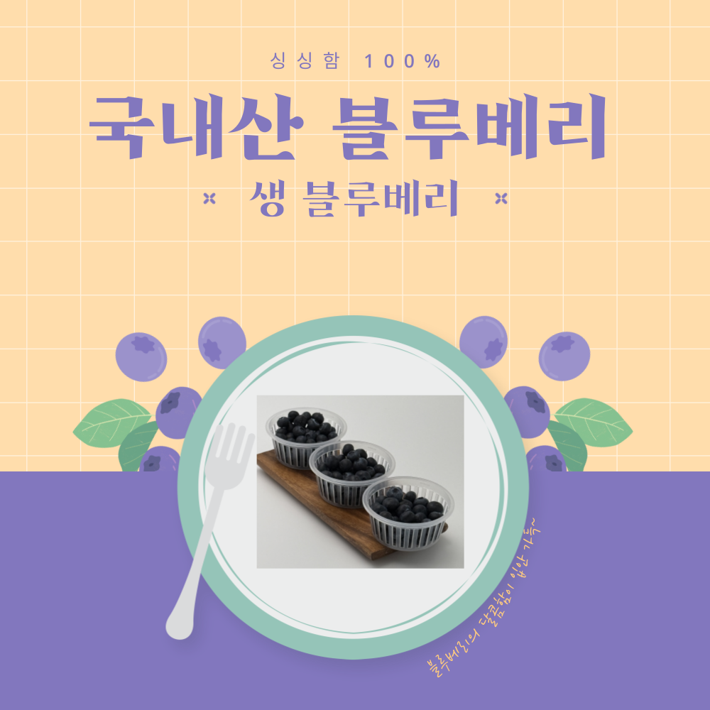 블루베리제철 국내산 블루베리 슈퍼푸드 생블루베리 파릇파릇마켓 : 파릇파릇마켓