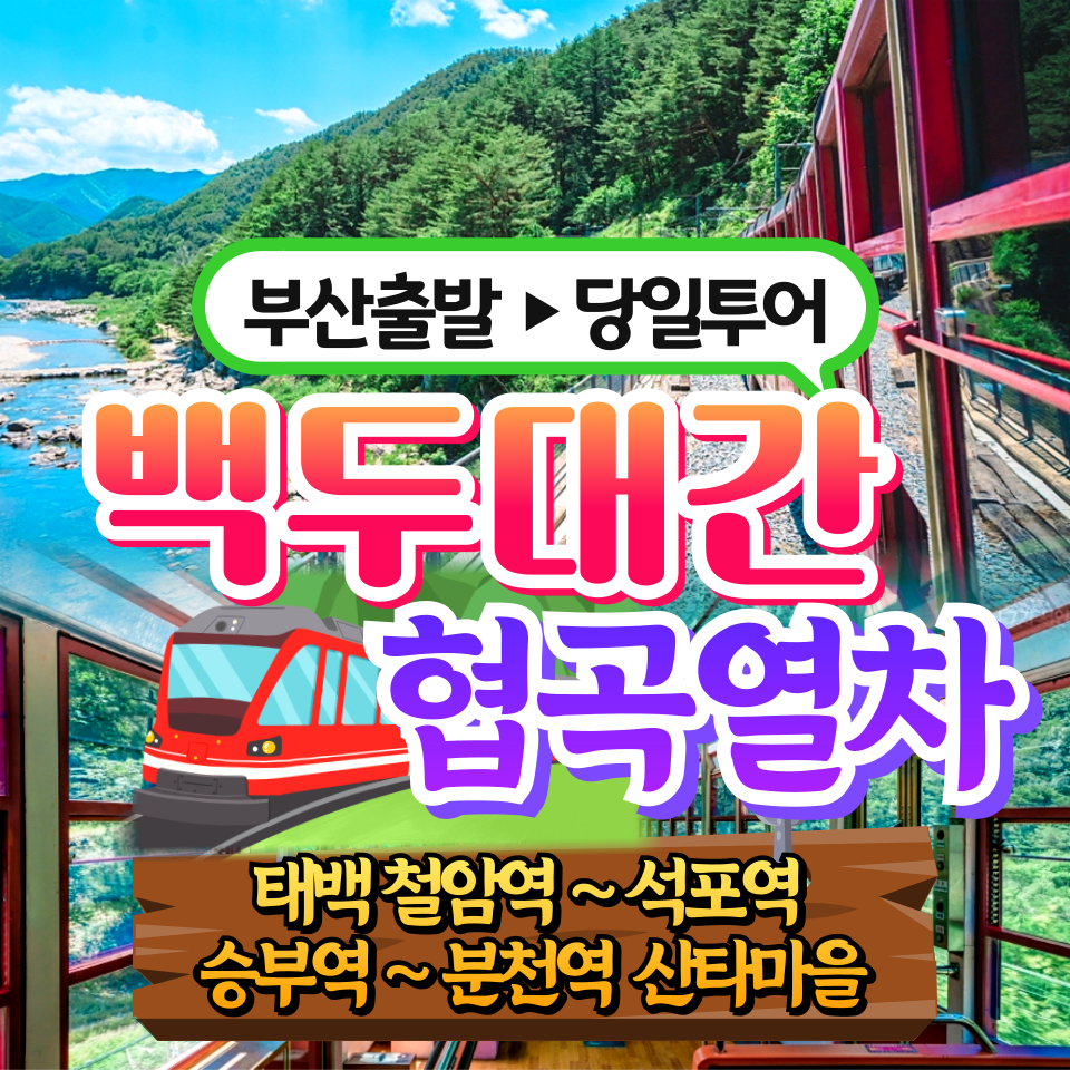 부산출발 태백 백두대간 협곡열차 당일버스투어 동해여행사 : 동해여행사