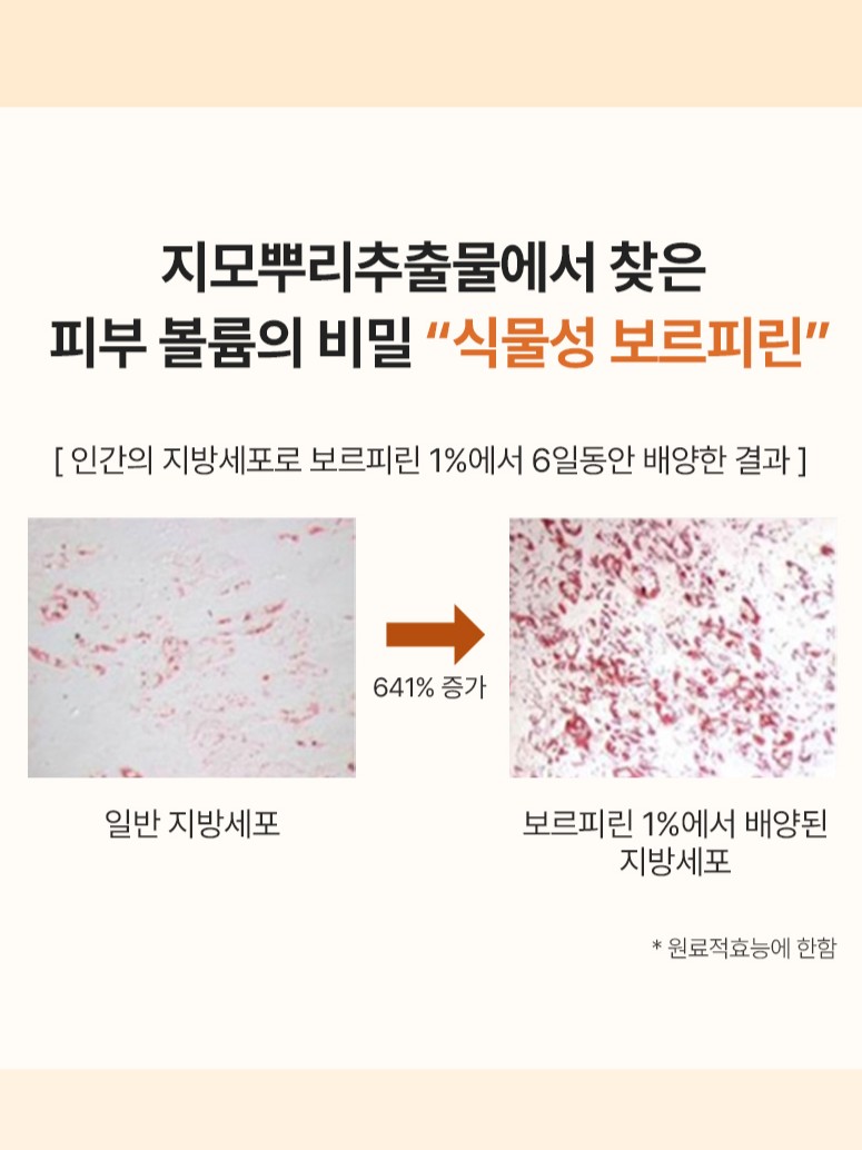 에이지셀 타임 엑티브 앰플 : 피누스 스토어 더퓨어