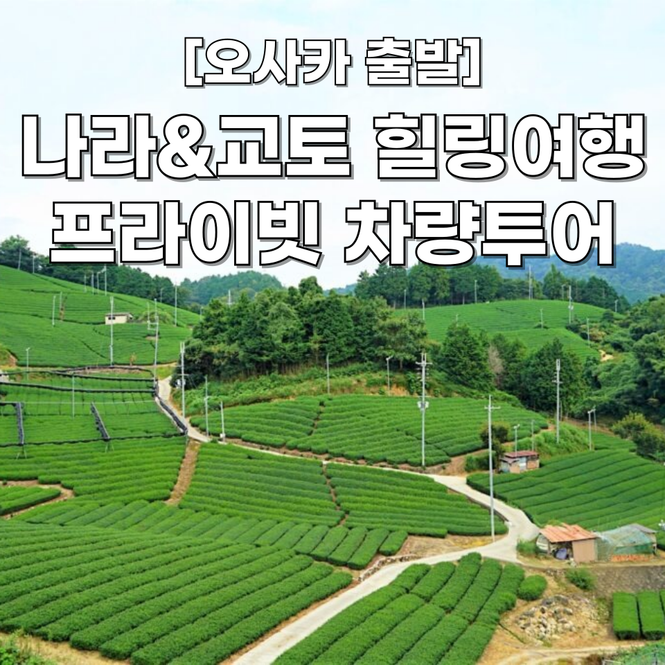 [오사카 출발] 나라&교토 힐링여행 프라이빗 일일 차량투어 맞춤투어 가능한 덕아웃 투어 : 주식회사 덕아웃