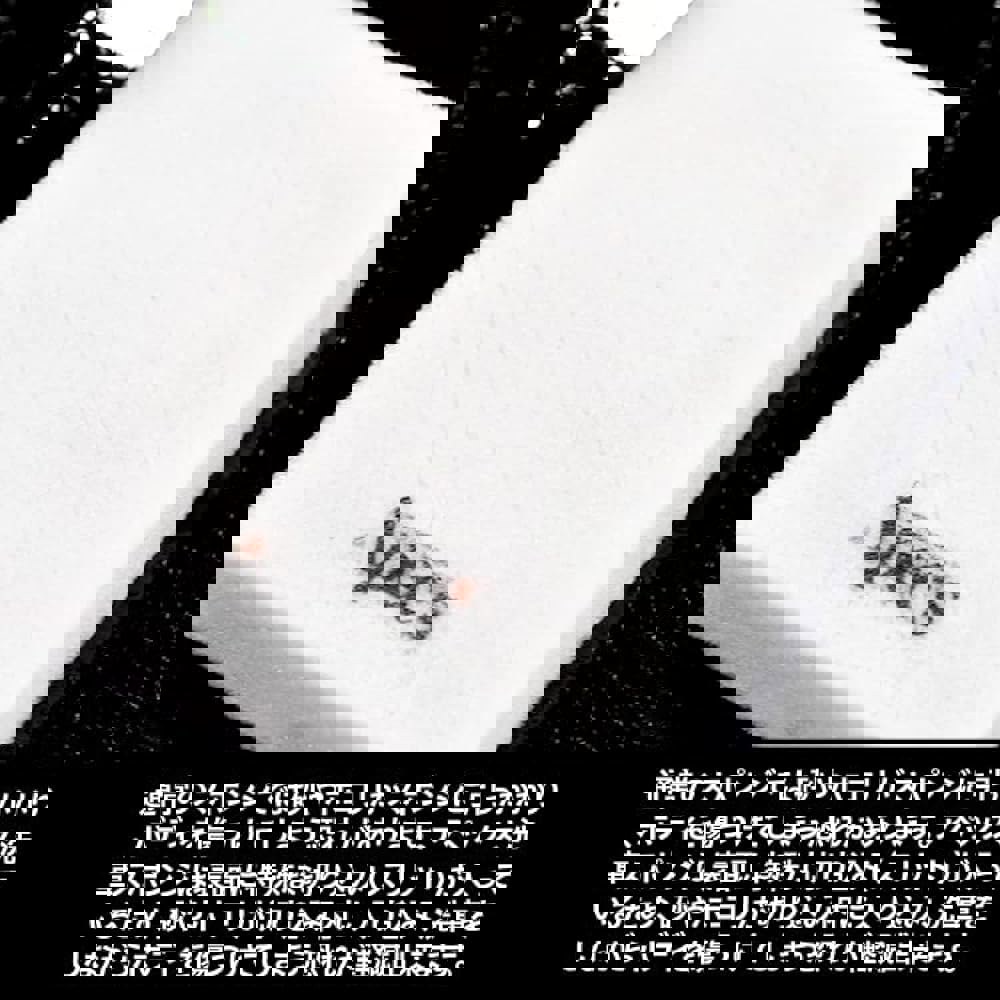 에이펙스 세차 스펀지, 긁힘 방지, 비 제품, 카 케어 차체, 코팅, 전문가용, 상업용 : 슈퍼노바 스튜디오