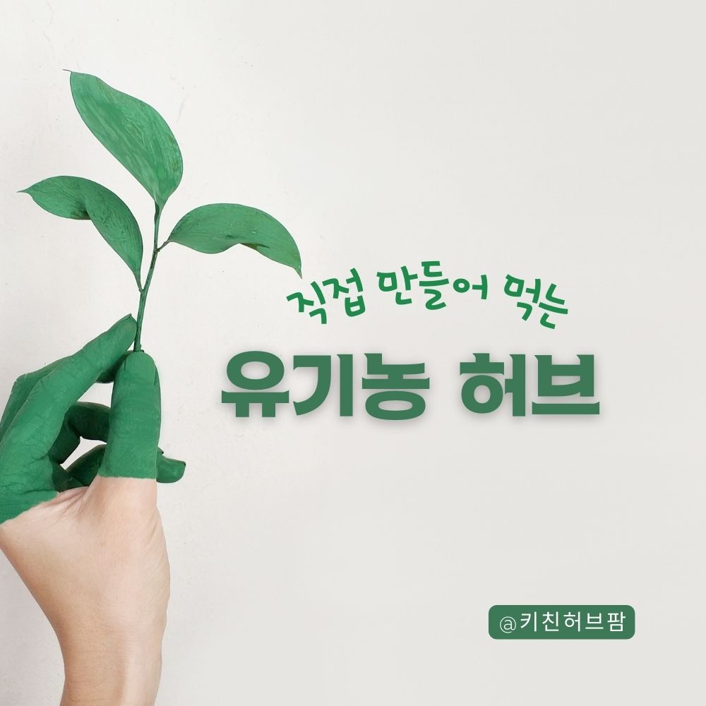 루꼴라 재배키트 : 키친허브팜