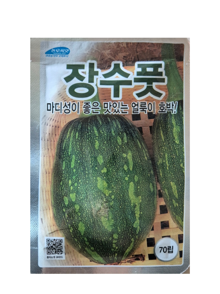 농사오케이 장수풋호박 70립 씨앗 종자 호박씨앗 맛있는 얼룩이 호박 농우씨앗 : 농사오케이