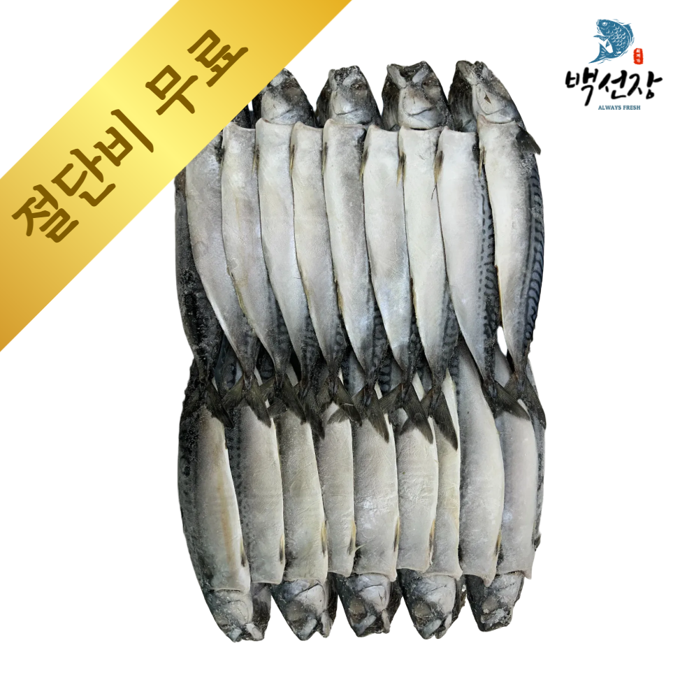 노르웨이 자반고등어 16손 20손 냉동 구이용 조림용 냉동 박스(도매, 식당용, 업소용) : 백선장