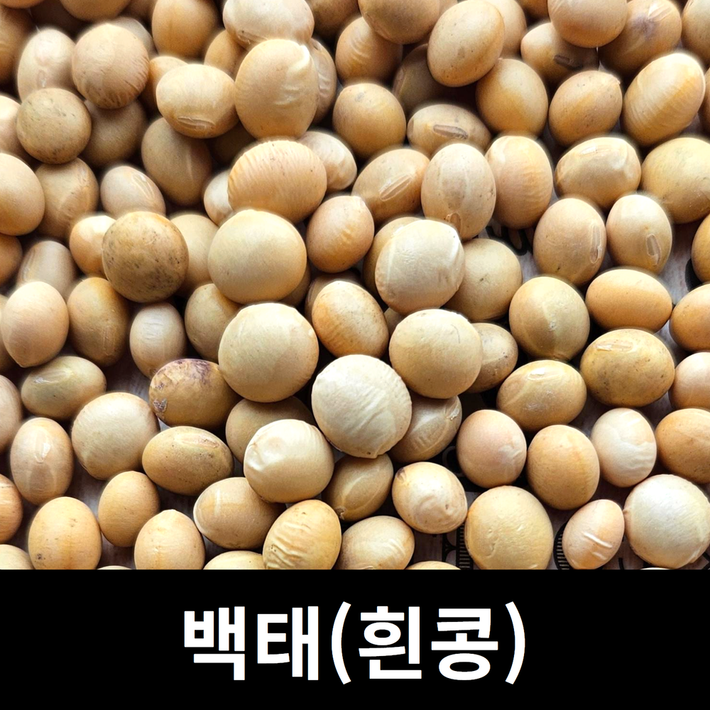아람뜰 신선 개별포장 국산 프리미엄 백태100g : 아람뜰