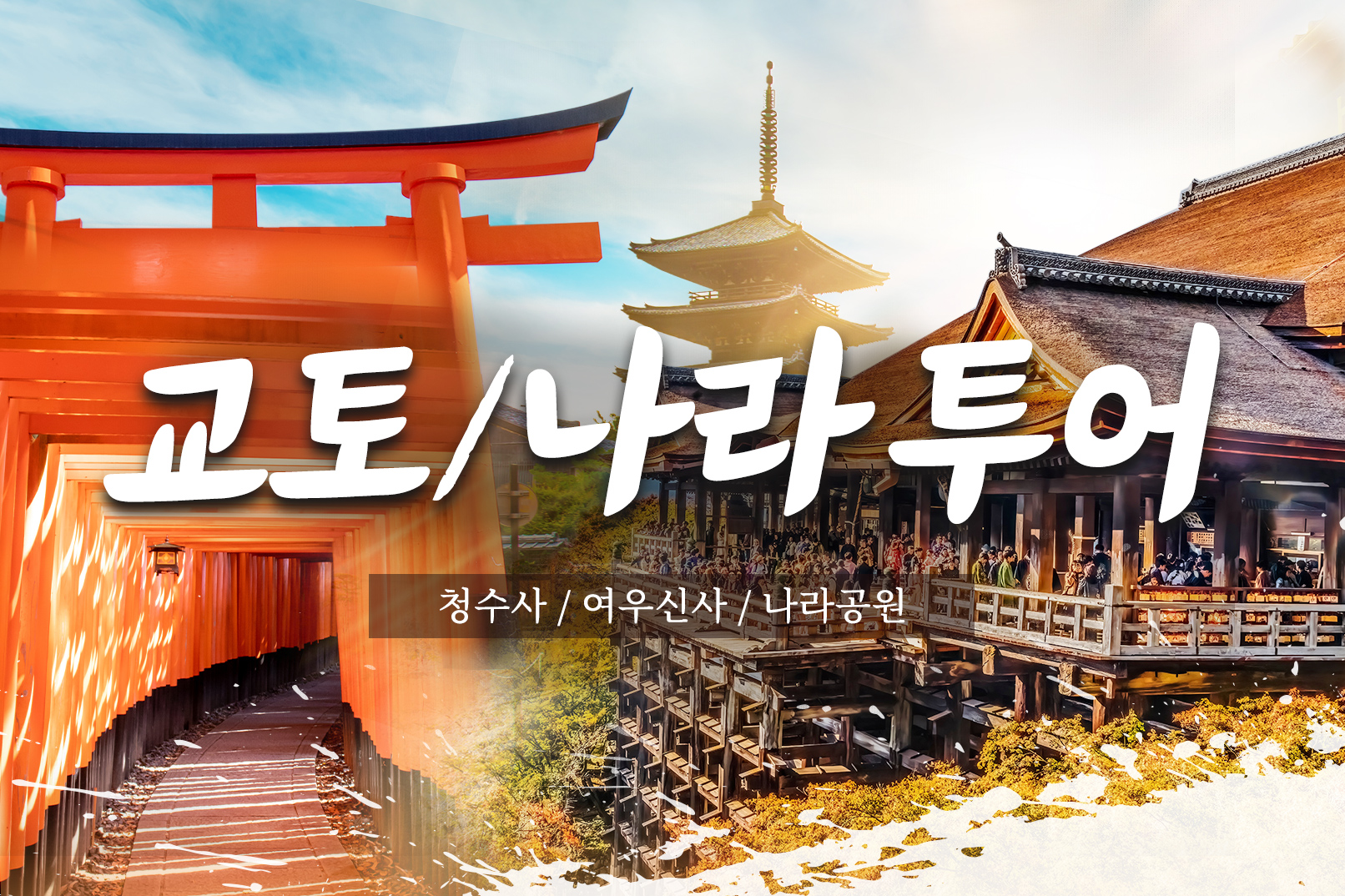 [오사카출발/ 한국어가이드/ 1명도 출발] 교토 & 나라 인기스팟 당일 버스투어 : 주식회사 케이투어스토리